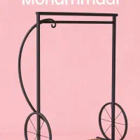 تاریس رخت بند کاربردی رگال قفسه کمد لباس35