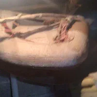 پالان اسب