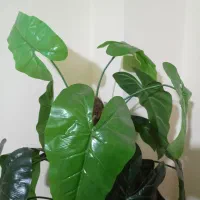 گل مصنوعی ایستاده