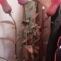 اباژور