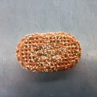 استخدامی