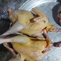 غاز و بوقلمون و اردک اسرائیلی