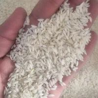 انواع مارک عنبربو محلی به شرط پخت و درجه یک|خوردنی و آشامیدنی|شوش, |دیوار