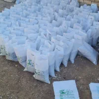 خاک گل درجه (1) گل ناز|گل و گیاه طبیعی|درگزین, |دیوار