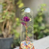 چراغ خواب گل رز