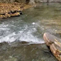 تور کردان یا شمال