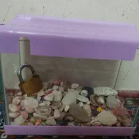 مینی آکواریم نوع