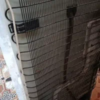 یخچال بادی|یخچال و فریزر|اهواز, زرگان|دیوار