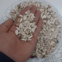 تخمه آفتاگردان  بومی نوش آباد|عمده‌فروشی|آران و بیدگل, |دیوار