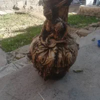 گلدان فروشی|گل و گیاه طبیعی|هیرمند, |دیوار