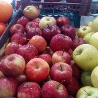 قیمت به روز میوه|خوردنی و آشامیدنی|کاشان, میدان کهنه|دیوار