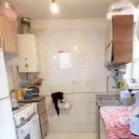 اجاره خانه در۱۲۰واحدی