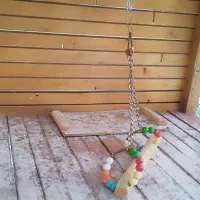 قفس پرنده|لوازم جانبی حیوانات|بم, |دیوار