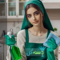 نظافتچی آپارتمان