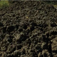 فروش کود گاوی خشک  و رطوبت دار|خدمات باغبانی و درختکاری|زرقان, |دیوار