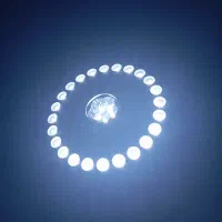 چراغ قوه باطری خور ارزون|لامپ و چراغ|سقز, |دیوار