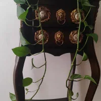 میز تافن یا کنار سالنی