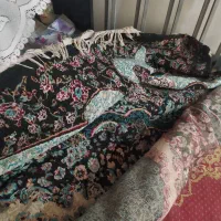قالی تمیز در حد نو ۱۲ متری
