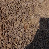 کود دامی گوسفندی  گاوی ورمی تضمینی