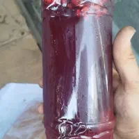 تولید و پخش آبمیوه طبیعی و ارگانیک