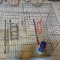 قفس پرنده|لوازم جانبی حیوانات|تهران, منیریه|دیوار