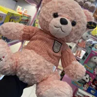 خرس پلیوری صورتی