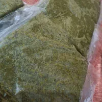 فروش سبزی خورشتی