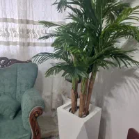 فروش درختچه های مصنوعی|گل مصنوعی|آستارا, |دیوار