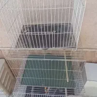 قفس