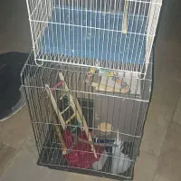 ۲عدد قفس پرنده با کلیه لوازم