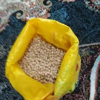 سلام|خوردنی و آشامیدنی|قم, شاد قلی|دیوار