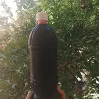 شربت آلبالو طبیعی