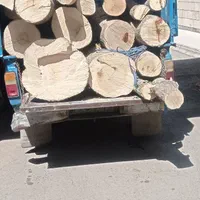 خرید چوب باغی سقفی به صورت|خدمات باغبانی و درختکاری|مشهد, توس (بلوار توس)|دیوار