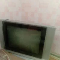 تلویزیون
