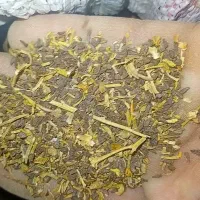 اسپند خشک