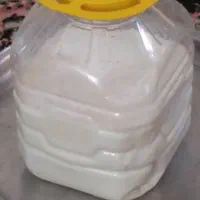 شیر پرچرب گاومیش تازه روز