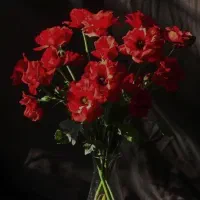 محصولات آرایشی بهداشتی