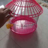 قفس|لوازم جانبی حیوانات|کرج, عظیمیه|دیوار