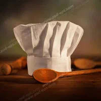 سفارش غذاهای خانگی برای  سازمان ها و مهمانی ها