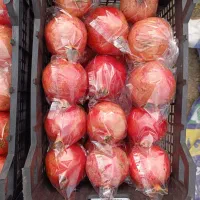 انار ملس ممتاز|عمدهفروشی|کردکوی, |دیوار