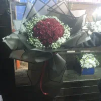 رز هلندی شاخه ای ۲۰|گل و گیاه طبیعی|کرج, فاز ۱ مهرشهر|دیوار