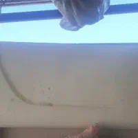 کایت سمت شاگرد کشنده کا ایکس