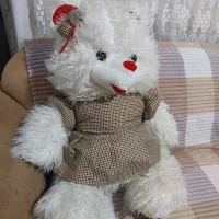 خرس عروسکی