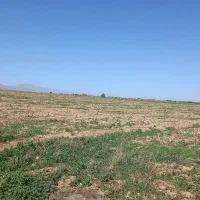 زمین کشاورزی ۸ هکتار