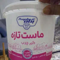 سطل