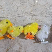 تعدادی اسباب بازی|اسباب‌‌بازی|کرمانشاه, |دیوار