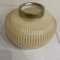 دو عدد گلدان کروم