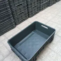 سبد حمل ماهی قزل الا