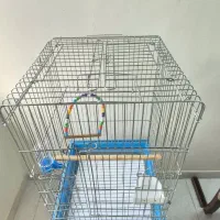 قفس ۱۰۳۳ کاسکویی