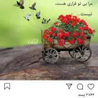 پرستاری ازکودک ۸ماهه